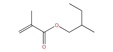 2-Methylbutyl methacrylate